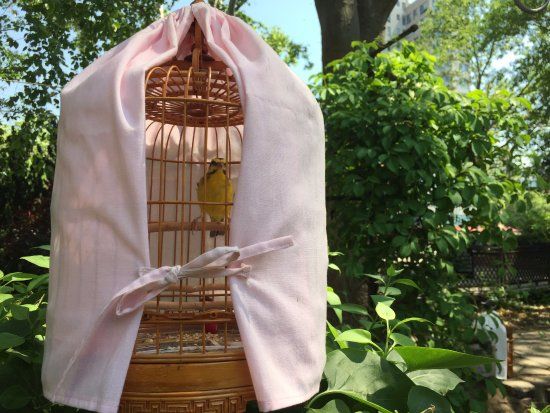 Parc Sara D. Roosevelt